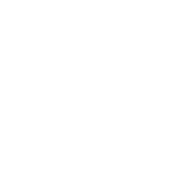 BFBM